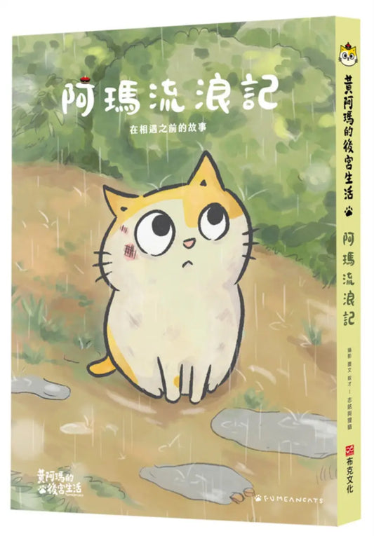 黃阿瑪的後宮生活:阿瑪流浪記