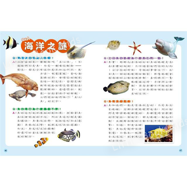 探索知識大百科:海洋生物- 內頁2