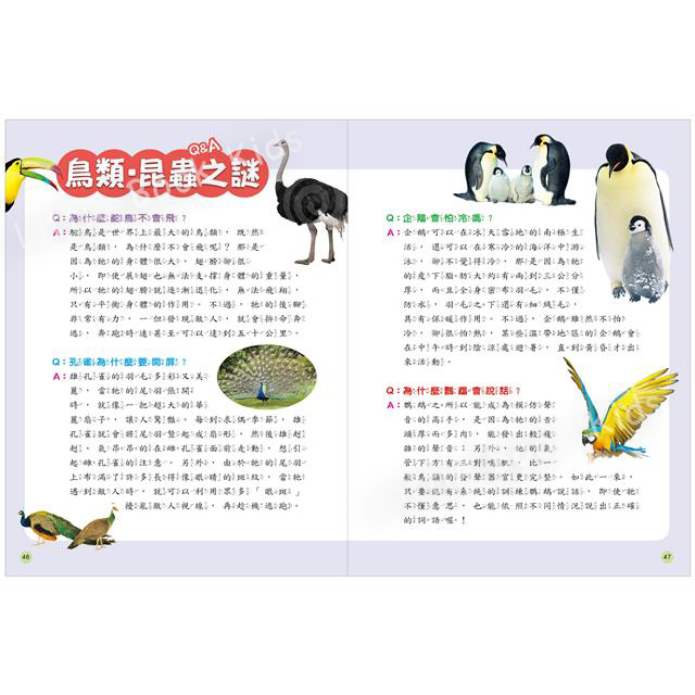 探索知識大百科系列:鳥類‧昆蟲- 內頁5