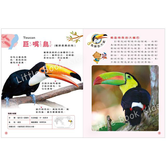 探索知識大百科系列:鳥類‧昆蟲- 內頁1