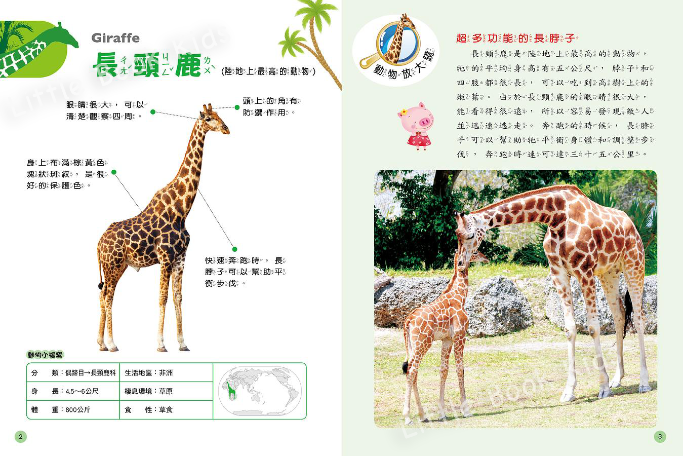 探索知識大百科/ 動物王國- 內頁3