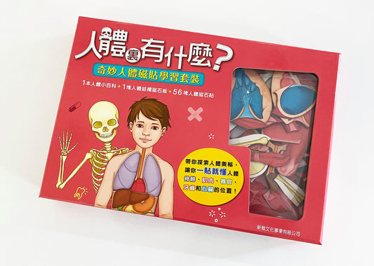 人體裏有什麼?奇妙人體磁貼學習套裝