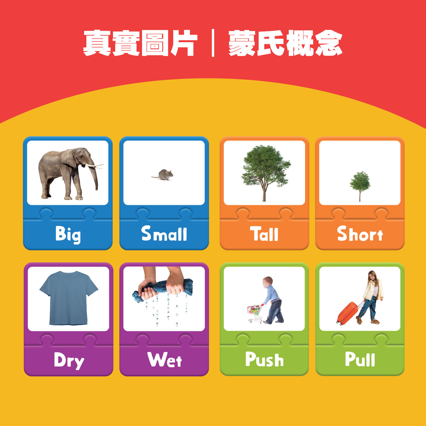 Curios - 中英文雙語對比卡