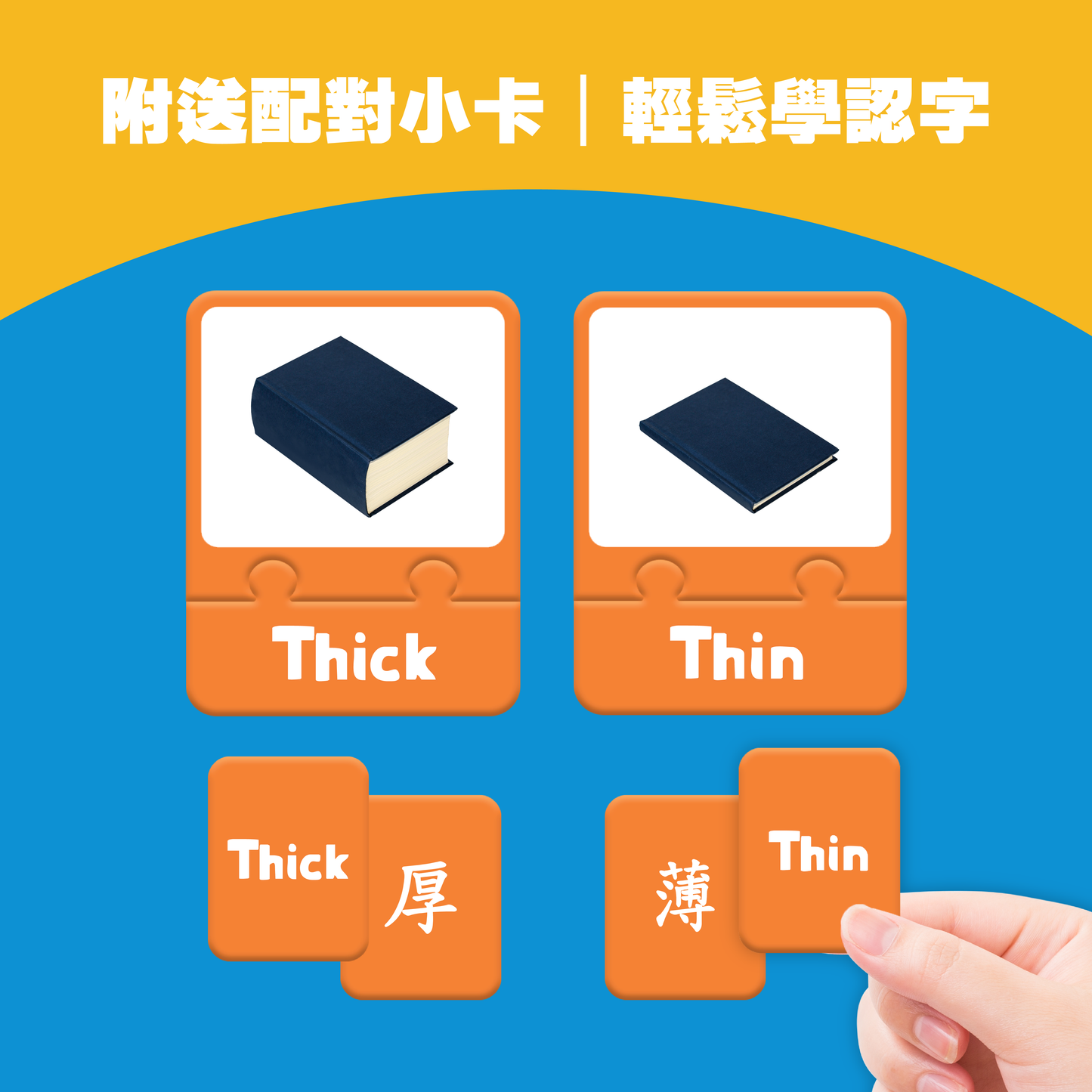 Curios - 中英文雙語對比卡