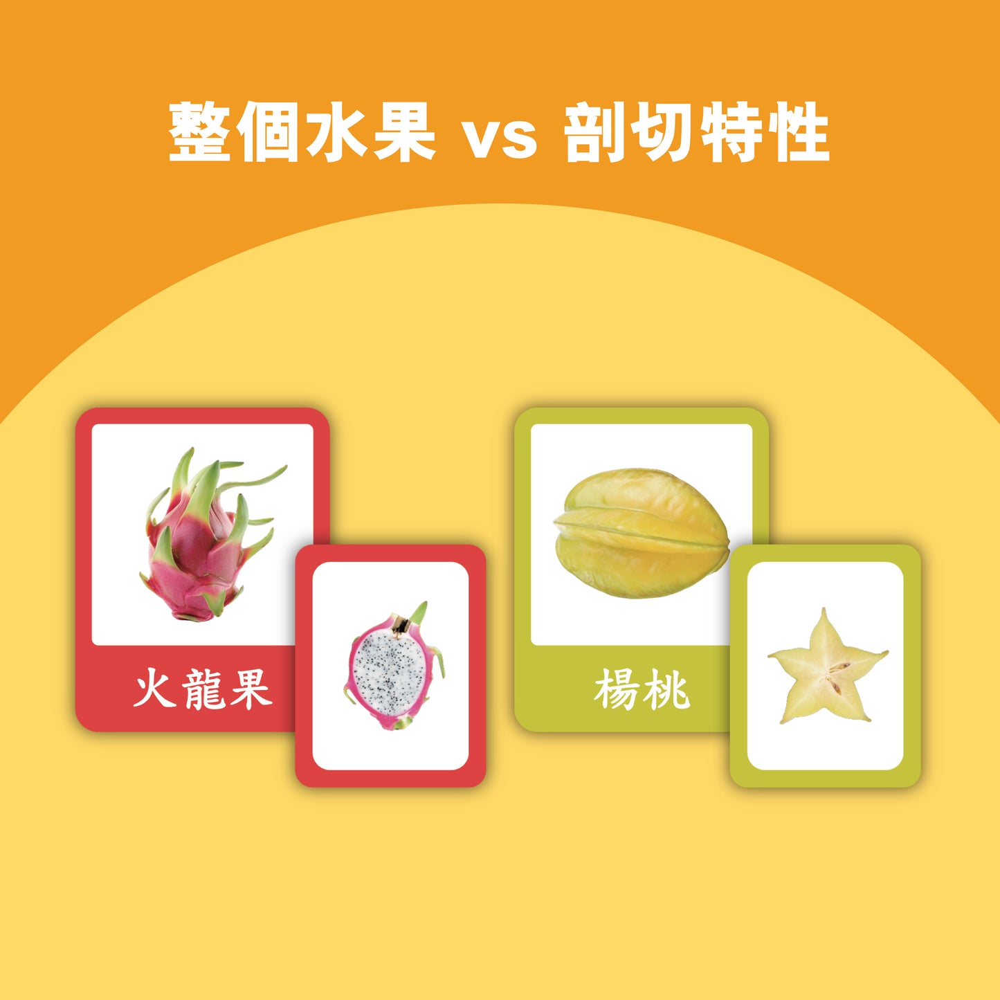 Curios - 中英文雙語水果配對卡