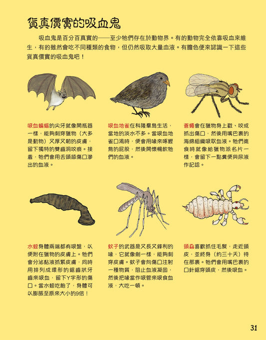 怪物可以在人類世界中生存嗎？[新雅‧知識館]