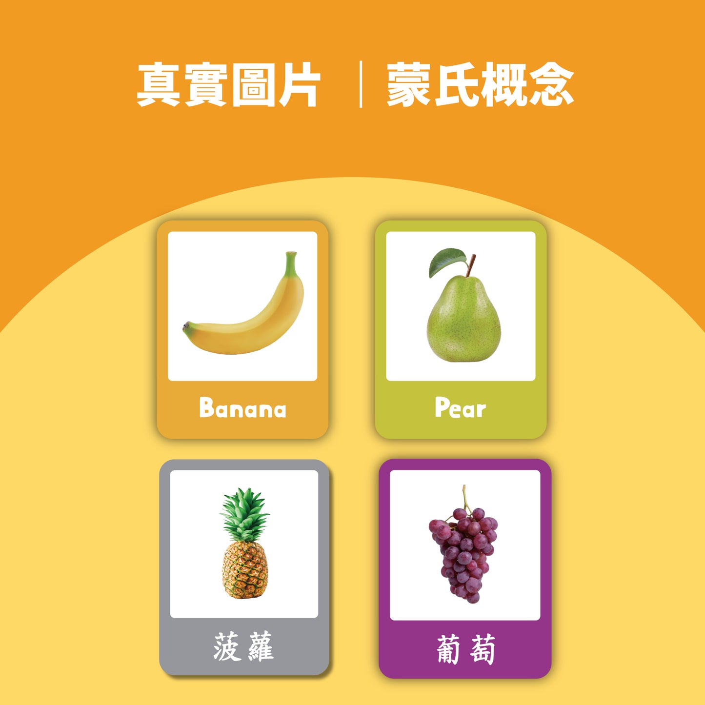 Curios - 中英文雙語水果配對卡