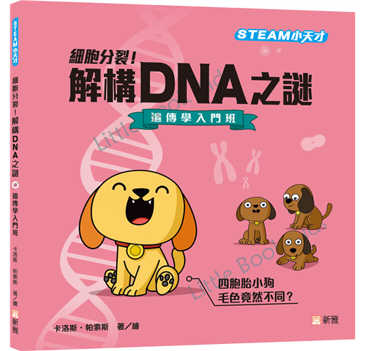 [STEAM 小天才] 細胞分裂！解構DNA之謎—遺傳學入門班