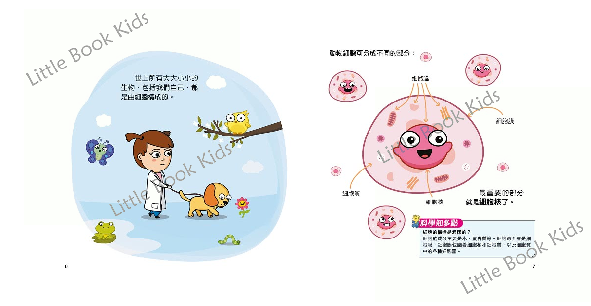 [STEAM 小天才] 細胞分裂！解構DNA之謎—遺傳學入門班