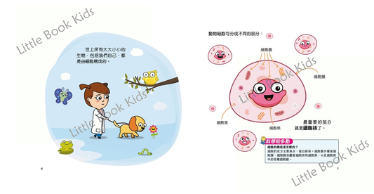 [STEAM 小天才] 細胞分裂！解構DNA之謎—遺傳學入門班