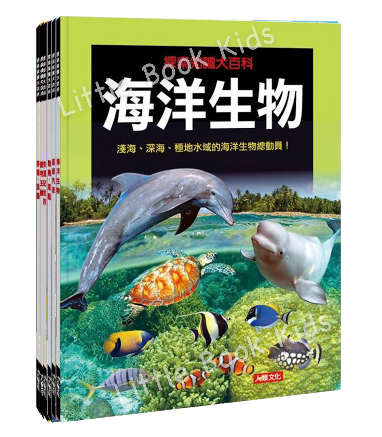 [探索知識大百科系列] 一套 6 冊