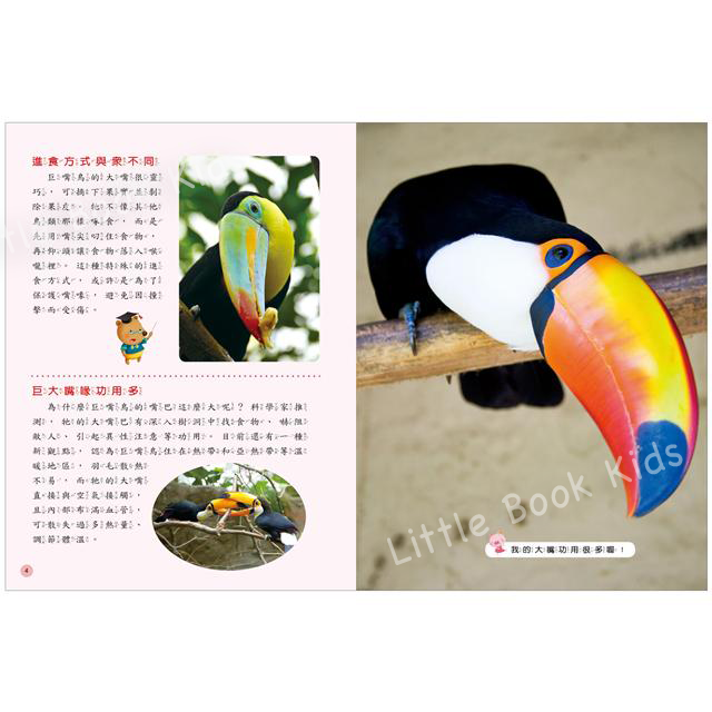 探索知識大百科系列 : 鳥類‧昆蟲