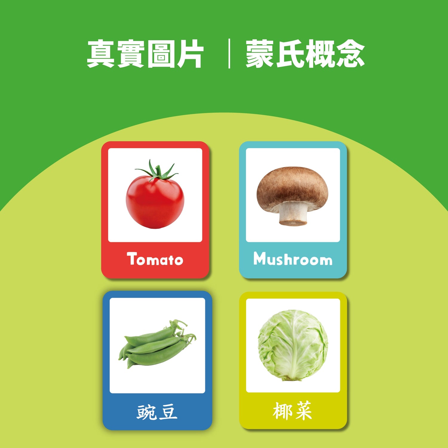 Curios - 中英文雙語蔬菜配對卡