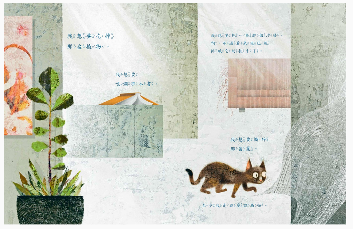 好煩好煩的貓