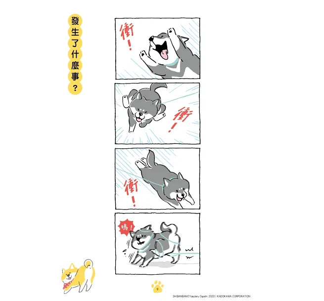 SHIBANBAN：微笑柴犬的調皮日常