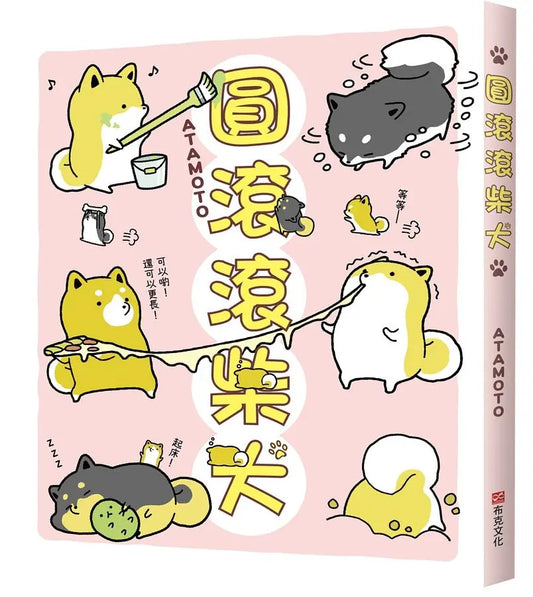 圓滾滾柴犬