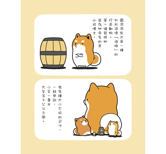 圓滾滾柴犬