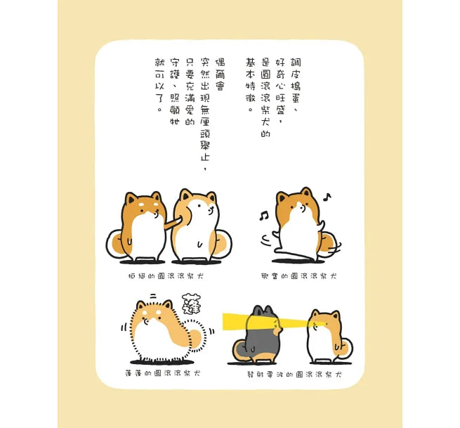 圓滾滾柴犬