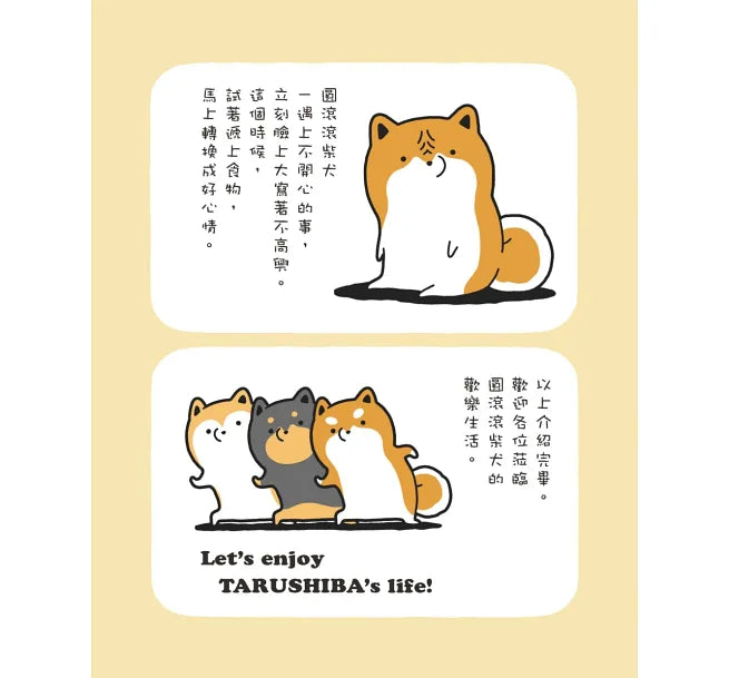 圓滾滾柴犬