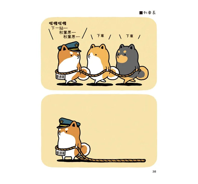 圓滾滾柴犬