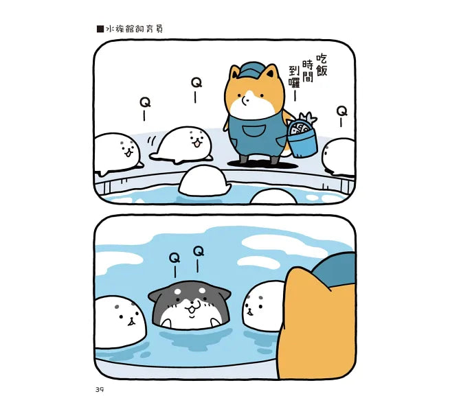 圓滾滾柴犬