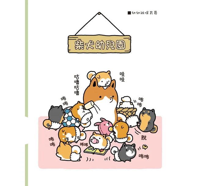 圓滾滾柴犬
