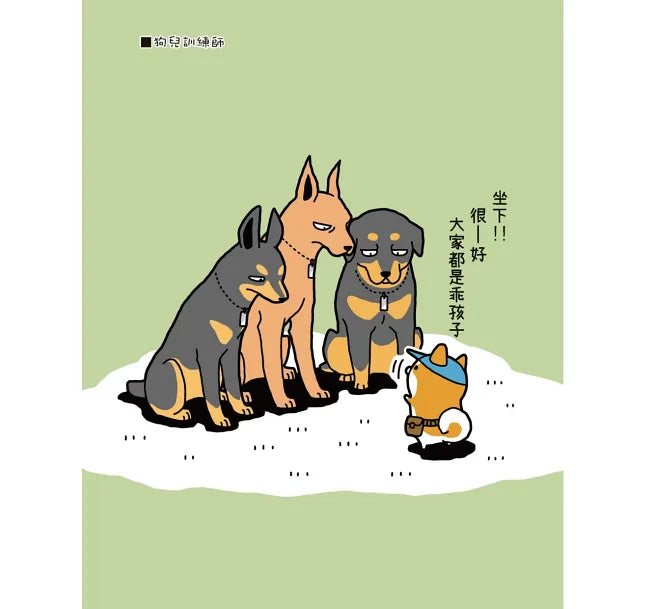 圓滾滾柴犬