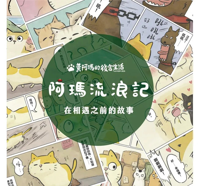 黃阿瑪的後宮生活：阿瑪流浪記