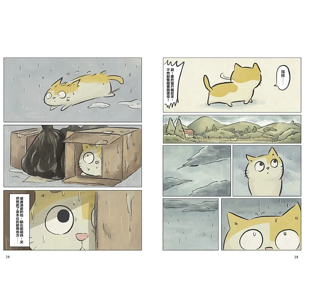 黃阿瑪的後宮生活：阿瑪流浪記
