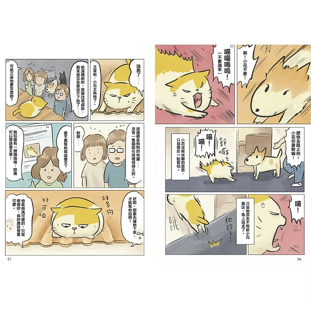 黃阿瑪的後宮生活：阿瑪流浪記