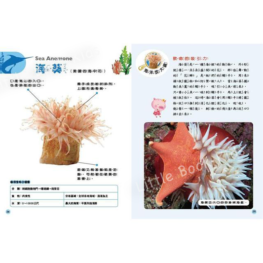 探索知識大百科：海洋生物- 內頁1