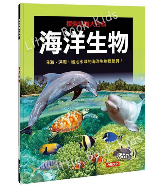 探索知識大百科:海洋生物- 封面